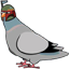 :fett-pigeon: